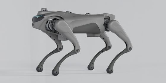 Intelligenter Roboterhund mit 2D LiDAR L1, automatischem Teleskopgriff und Gurt für autonome Navigation und Kartierung